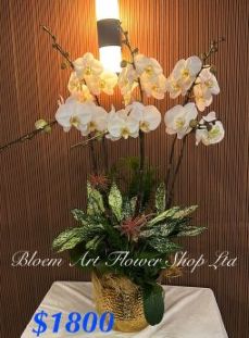 Table Arrangement - Deluxe CODE 62892